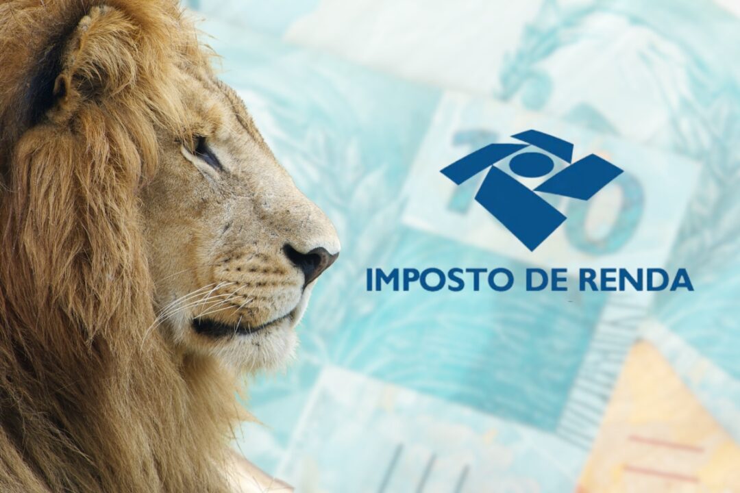 seucreditodigital.com.br-irpf-2025-prazo-para-declaracao-inicia-em-17-de-marco-e-vai-ate-30-de-maio-Imposto-de-Renda-Canva-e-Freepik.zip-1-1080x720